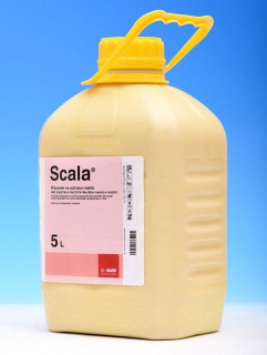 Scala - 5 l
